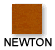 newton