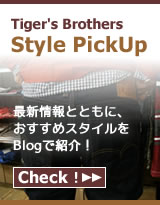 Style pickup