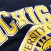 画像7: Champion（チャンピオン）T1011 US Print T-Shirt"MICHIGAN" / Navy（ネイビー）