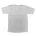 画像2: Champion（チャンピオン）T1011 US Print T-Shirt"MICHIGAN" / Oxford（オックスフォードグレー） (2)
