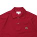 画像3: LACOSTE（ラコステ）Classic Fit Pique Polo Shirt（クラシックフィットピケポロシャツ）/Bordeaux（ボルドー）※Imported from France※サイズ2のみ