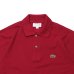 画像8: LACOSTE（ラコステ）Classic Fit Pique Polo Shirt（クラシックフィットピケポロシャツ）/Bordeaux（ボルドー）・Orange（オレンジ）・Marron（マロン）※Imported from France