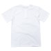 画像2: Good On（グッドオン）Short Sleeve Henley Neck Tee（ショートスリーブヘンリーネックTシャツ）"Washed"/White（ホワイト） (2)