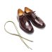 画像8: SANDERS（サンダース）Military Derby Shoe（ミリタリーダービーシューズ）/Burgundy（バーガンディ）