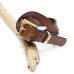 画像1: Martin Faizey（マーティンフェイジー）1.25inch Quick Release Belt（クイックリリースベルト）/Conker（ブラウン） (1)