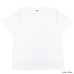 画像2: Good On（グッドオン）Short Sleeve Crew Neck Tee（ショートスリーブクルーネックTシャツ）"Washed"/White（ホワイト）・Metal Grey（メタルグレー） (2)