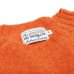 画像6: INVERALLAN（インバーアラン）Crew Neck Saddle Shoulder Sweater（クルーネックサドルショルダーセーター）Supersoft Shetland/Jaffa（オレンジ）