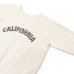 画像4: Mixta（ミクスタ）Print Raglan Crew Sweat（プリント付きラグランクルースウェット）"CALIFORNIA 3D"/Green Tea（グリーンティー）※Lサイズのみ