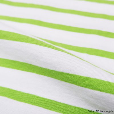 画像9: BARBARIAN（バーバリアン）W's Casual Crew Neck Shirt S/S（ウィメンズカジュアルクルーネックシャツショートスリーブ ）”TWO COLOUR STRIPES"  / White×Apple（ホワイト×アップル）・White×Brown（ホワイト×ブラウン）