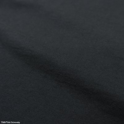 画像7: Champion（チャンピオン）T1011 US Print Raglan Sleeve T-Shirt（ティーテンイレブンUSプリントラグランスリーブTシャツ）"YALE" / Navy（ネイビー）※Sサイズのみ