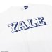 画像7: Champion（チャンピオン）T1011 US Print T-Shirt（ティーテンイレブンUSプリントTシャツ）"YALE"/White×Navy（ホワイト×ネイビー）・Navy×White（ネイビー×ホワイト）Made in USA