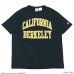 画像4: Champion（チャンピオン）T1011 US Print T-Shirt（ティーテンイレブンUSプリントTシャツ）"UC.BERKELEY" / White（ホワイト）・Navy（ネイビー）Made in USA