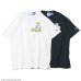 画像1: Champion（チャンピオン）T1011 US Print T-Shirt（ティーテンイレブンUSプリントTシャツ）"UCLA"/White（ホワイト）・Navy（ネイビー）Made in USA (1)