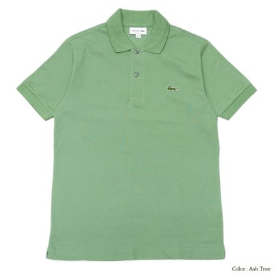 画像2: LACOSTE（ラコステ）Classic Fit Pique Polo Shirt（クラシックフィットピケポロシャツ）/Ash Tree（アッシュツリー）・Pecan（ピーカン）※Imported from France