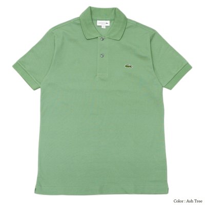 画像2: LACOSTE（ラコステ）Classic Fit Pique Polo Shirt（クラシックフィットピケポロシャツ）/Ash Tree（アッシュツリー）・Pecan（ピーカン）※Imported from France※サイズ2のみ
