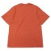 画像5: Yonetomi NEW BASIC（ヨネトミニューベーシック）GARMENT DYE BORDER T-SHIRT（ガーメントダイボーダーTシャツ）/Purple（パープル）・Orange（オレンジ）