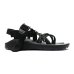 画像1: Chaco（チャコ）Z Cloud X Sandal（ZクラウドXサンダル）Women's / Black（ブラック） (1)