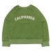 画像1: Mixta（ミクスタ）Print Raglan Crew Sweat（プリント付きラグランクルースウェット）"CALIFORNIA 3D"/Green Tea（グリーンティー）※Lサイズのみ (1)