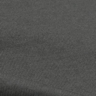 画像6: alvana（アルヴァナ）20/- Baseball Tee Shirt （20/ ベースボールTシャツ）/ Smoke Grey（スモークグレー）※サイズ2のみ