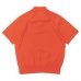 画像2: Yonetomi NEW BASIC（ヨネトミニューベーシック）LIGHT WAVE COTTON KNIT POLO（ライトウェーブコットンニットポロシャツ）/ Orange（オレンジ） (2)