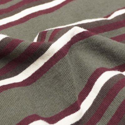 画像6: BARBARIAN（バーバリアン）Light Weight Crew Neck Shirt S/S（ライトウェイトクルーネックシャツS/S） ”Bcrs Stripes Repeat" / Moss×Harvard×V,Gold×Brown（グレー×グラファイト）
