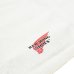 画像2: RED WING（レッドウィング）BOOT CARE CLOTH（ブーツケアクロス） (2)