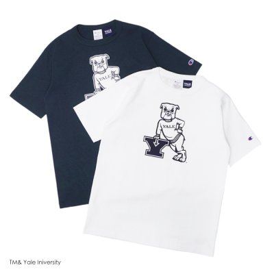画像1: Champion（チャンピオン）T1011 US Print T-Shirt（ティーテンイレブンUSプリントTシャツ）"YALE"/ White（ホワイト）・Navy（ネイビー）