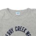 画像3: Champion（チャンピオン）77QS SHORT SLEEVE T-SHIRT（77QS ショートスリーブTシャツ）"TURE OF ARCHIVES" / Grey×Blue（グレー×ブルー）