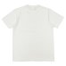 画像5: BARNS OUTFITTERS (バーンズアウトフィッターズ) "STANDARD" TSURI-AMI Crew Print T-Shirt (吊り編みクループリントTシャツ)"BIG-SUN" / White（ホワイト）・Grey (グレー)