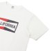 画像7: BARNS OUTFITTERS (バーンズアウトフィッターズ) "STANDARD" TSURI-AMI Crew Print T-Shirt (吊り編みクループリントTシャツ)"CALIFORNIA" / White（ホワイト）・Grey (グレー)