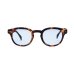 画像2: IZIPIZI（イジピジ）#C SUN "Light Blue" / Tortoise（トータス） (2)