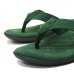画像6: ISLAND SLIPPER（アイランドスリッパ）PT203 (レザートングサンダル・ブラックソール) "Suede"/ Forest（フォレスト）