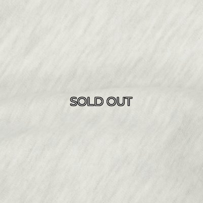 画像6: Sloppy Supply（スラッピーサプライ）NEO Vintage Sweat Shirt（ネオヴィンテージスウェットシャツ）"DEAD PRESIDENT" / Grey（グレー）