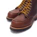 画像5: RED WING（レッドウィング）Style No.2949 ”Roughneck（ラフネック）” (5)