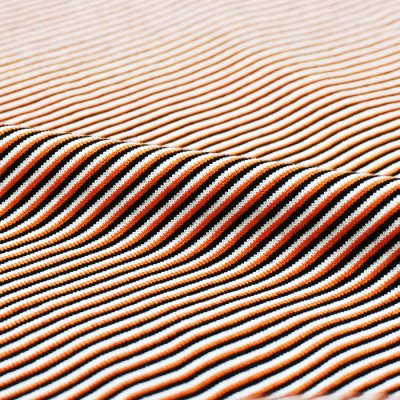 画像6: EVCON（エビコン）MARCERIZATION BORDER WIDE S/S TEE（マーセリゼーションボーダーワイドショートスリーブTシャツ） / ORANGE（オレンジ）