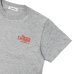 画像5: ※Exclusive※ SIERRA DESIGNS（シエラデザインズ）AMERICAN CAMPING STYLE T-SHIRT S/S（アメリカンキャンピングスタイルTシャツ） / Grey（グレー） (5)