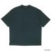 画像4: alvana（アルヴァナ）空紡 SHORT SLEEVE TEE SHIRTS（空紡ショートスリーブTシャツ）/ 4Colors（全4色展開） (4)