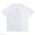 画像4: Champion（チャンピオン）T1011 US Print T-Shirt・Made in USA（ティーテンイレブンUSプリントTシャツ）"Grateful Dead" / White（ホワイト）・Silver Gray（シルバーグレー） (4)