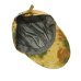 画像5: DECHO（デコー）TYE-DYE BECKBILL FISHING CAP（タイダイ デックビルフィッシングキャップ） / Olive（オリーブ） (5)