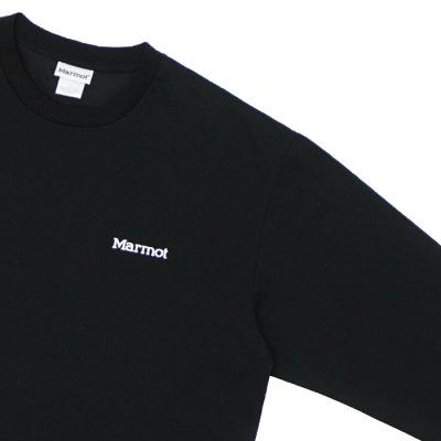 画像4: Marmot（マーモット）Crack L/S Tee（クラック ロングスリーブTシャツ）/ Black（ブラック）