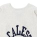 画像3: Champion（チャンピオン）REVERSE WEAVE 1ST PATENT CREW NECK SWEATSHIRT（リバースウィーブ1STパテントクルーネックスウェットシャツ）"TRUE TO ARCHIVES" / Silver Gray（シルバーグレー） (3)
