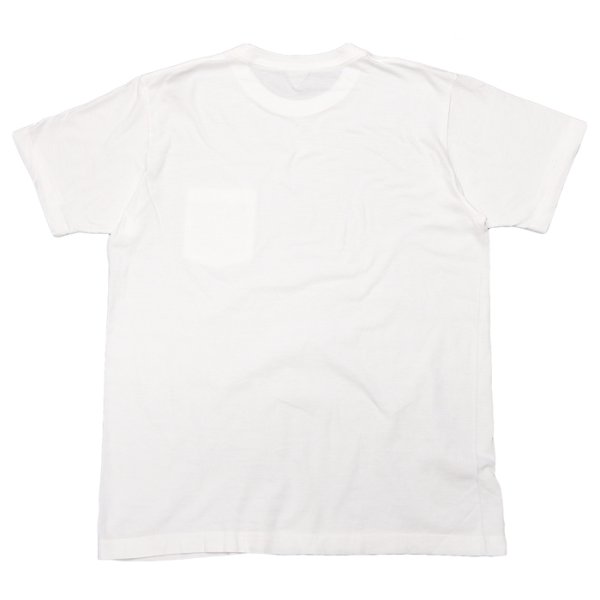 画像6: FilMelange（フィルメランジェ）SUNNY（サニー）"ニューリンダ天竺" / 4Colors（4色展開） (6)