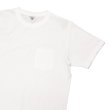 画像8: FilMelange（フィルメランジェ）SUNNY（サニー）"ニューリンダ天竺" / 4Colors（4色展開） (8)