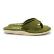 画像4: ISLAND SLIPPER（アイランドスリッパ）PT203 レザートングサンダル/Army Suede（アーミースエード） (4)