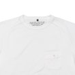 画像6: Nigel Cabourn（ナイジェル・ケーボン）BASIC T-SHIRT（ベーシックTシャツ）9.5oz Open end Cotton/Off White（オフホワイト）・Green（グリーン） (6)