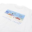 画像9: 辰巳菜穂×FilMelange/NT-SUNNY（サニー）"ニューリンダ天竺"/White（ホワイト）・Lemon（レモン） (9)
