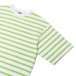 画像7: BARBARIAN（バーバリアン）カジュアルクルーネックシャツショートスリーブ ”TWO COLOUR STRIPES" レディース / White×Apple（ホワイト×アップル）・White×Brown（ホワイト×ブラウン） (7)