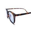 画像3: IZIPIZI（イジピジ）#E SUN"LIGHT COLOR"/Tortoise（トータス） (3)