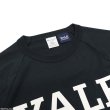 画像3: Champion（チャンピオン）T1011 US Print Raglan Sleeve T-Shirt（ティーテンイレブンUSプリントラグランスリーブTシャツ）"YALE"/Navy（ネイビー）Made in USA (3)
