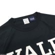 画像3: Champion（チャンピオン）T1011 US Print Raglan Sleeve T-Shirt（ティーテンイレブンUSプリントラグランスリーブTシャツ）"YALE" / Navy（ネイビー）Made in USA (3)